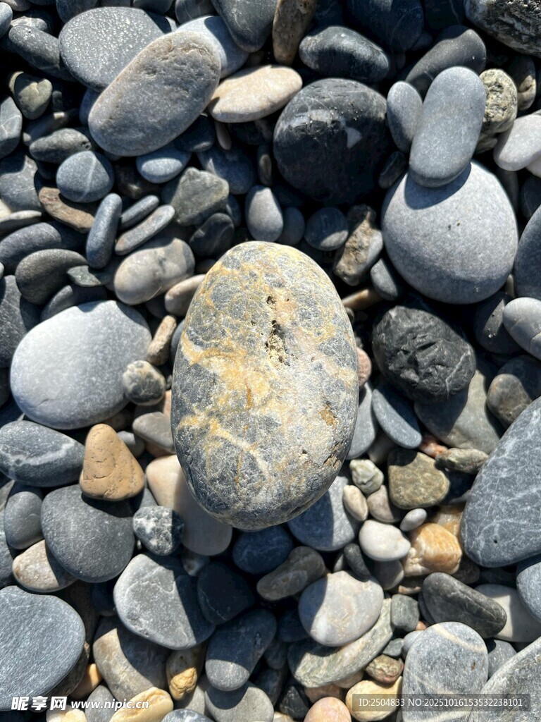 海滩上的多彩鹅卵石