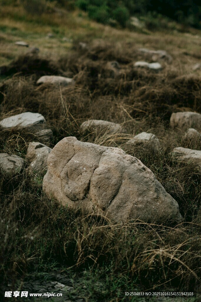 荒野中的嶙峋石块