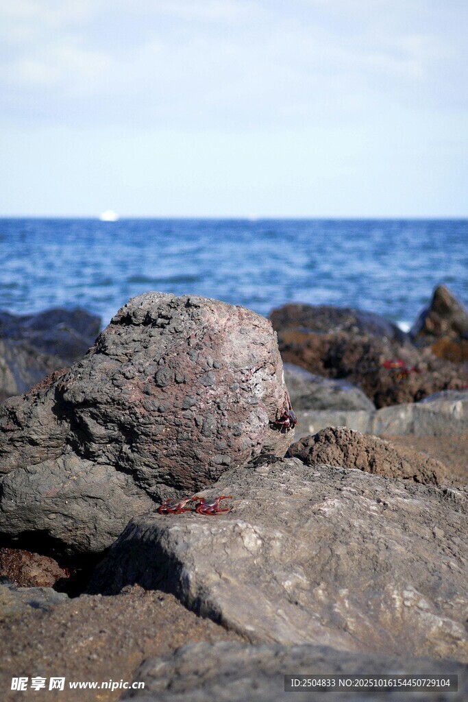 海边嶙峋岩石景观