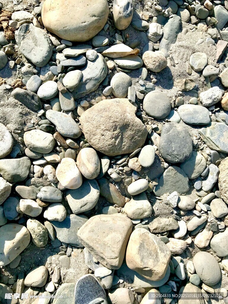 河滩上的多彩鹅卵石