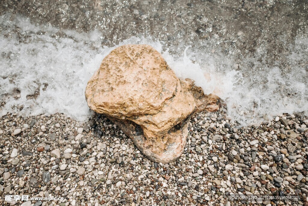 沙滩上的贝壳与海浪