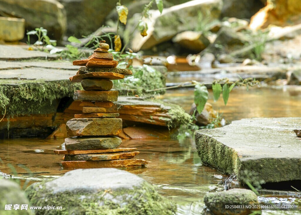 日式庭院水景 静谧小景