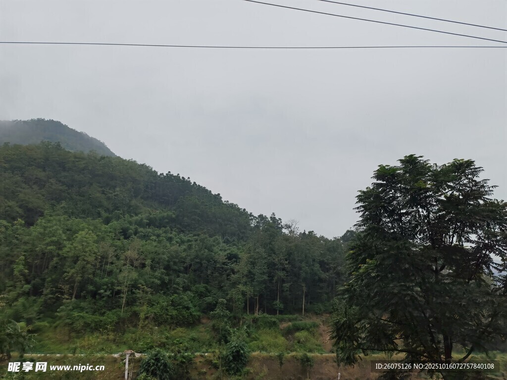 山间绿意风景