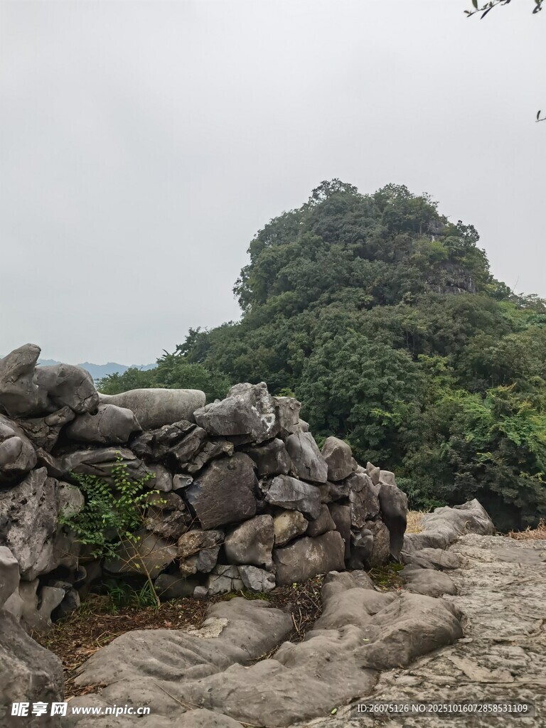 石堆旁的葱郁山林