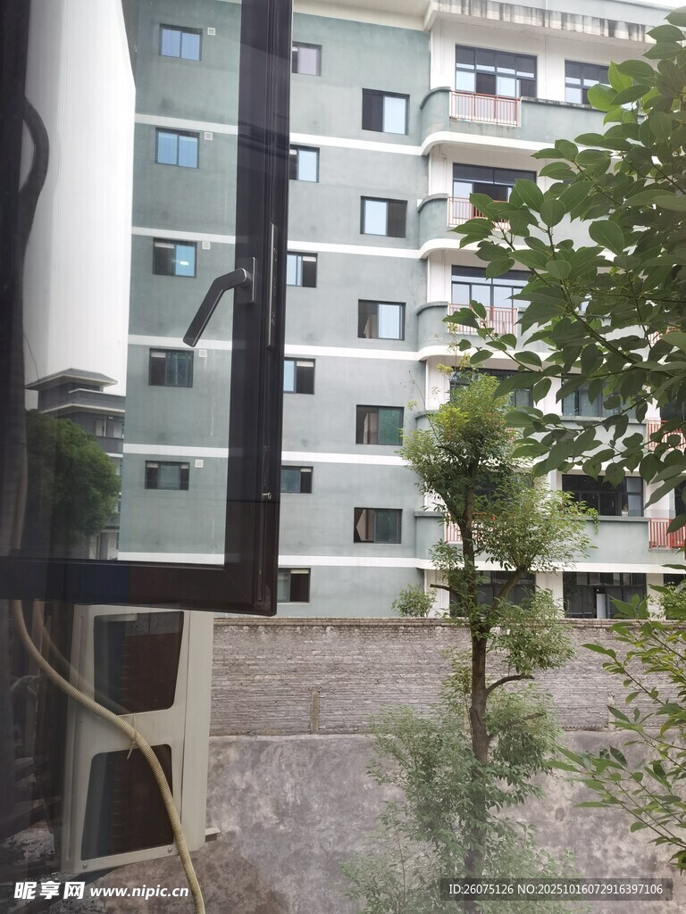 窗外绿植与楼景