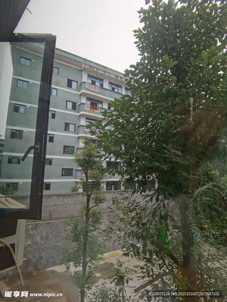 庭院旁的现代建筑景观
