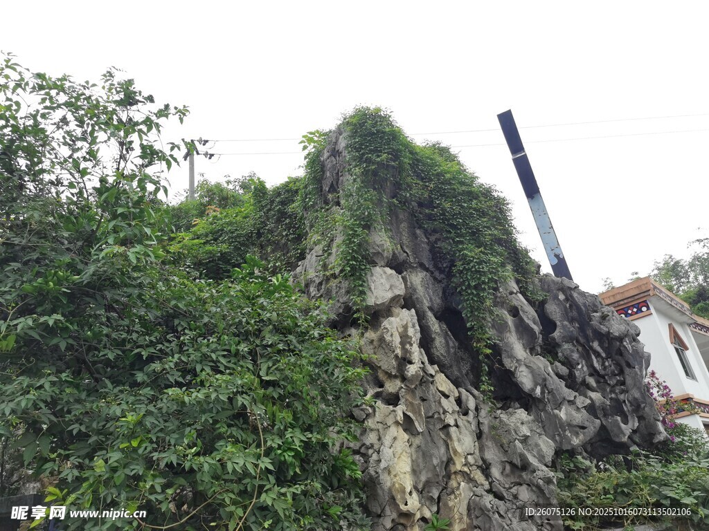 峻峭山石覆绿植