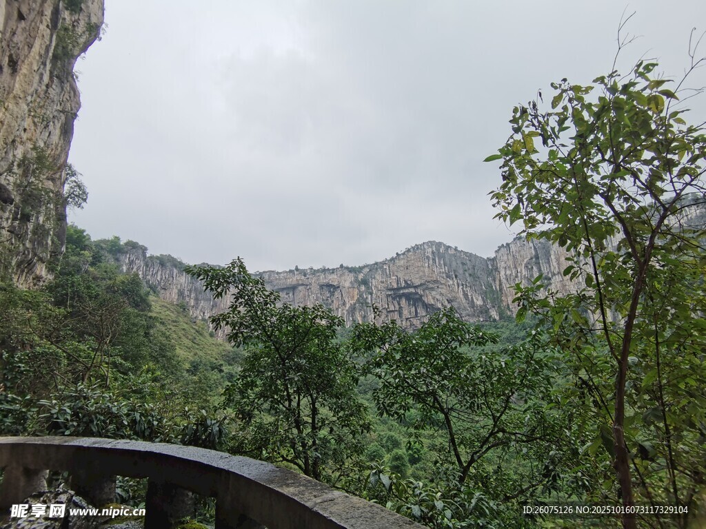 山间石桥旁的葱郁景致