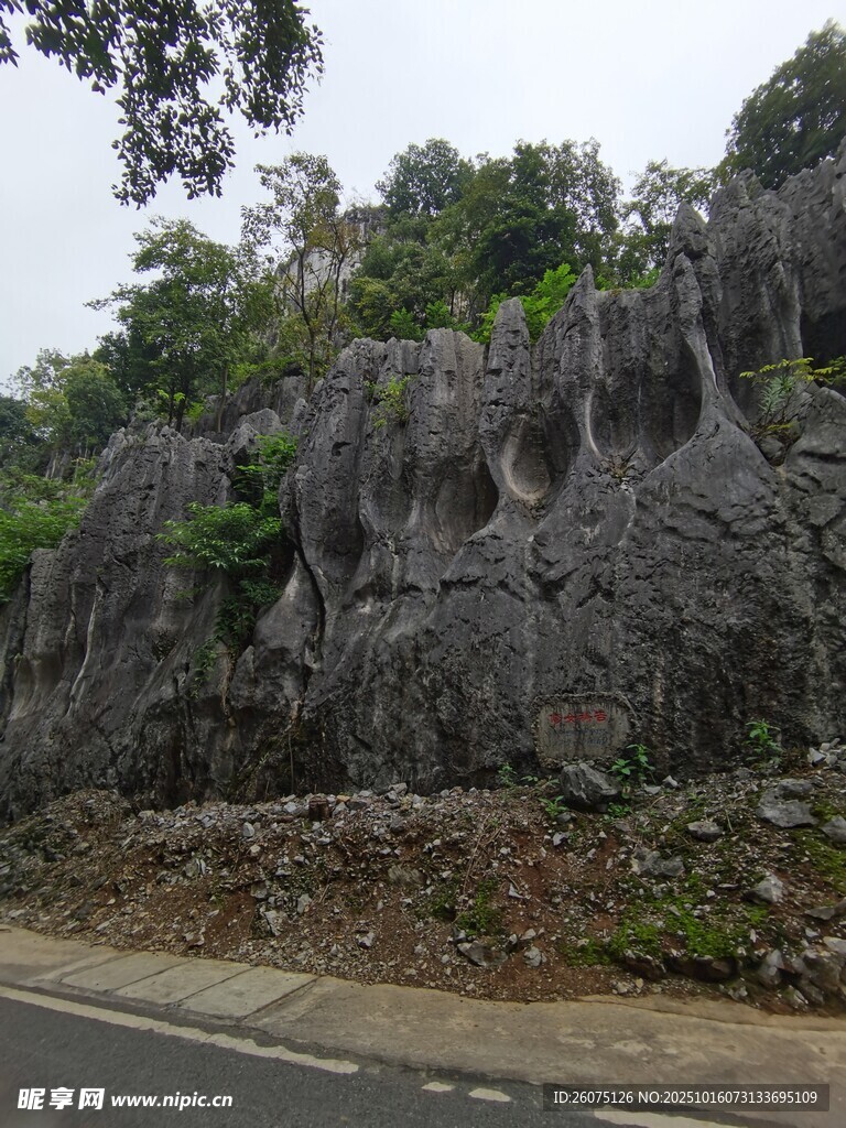 路边奇特多孔岩石景观