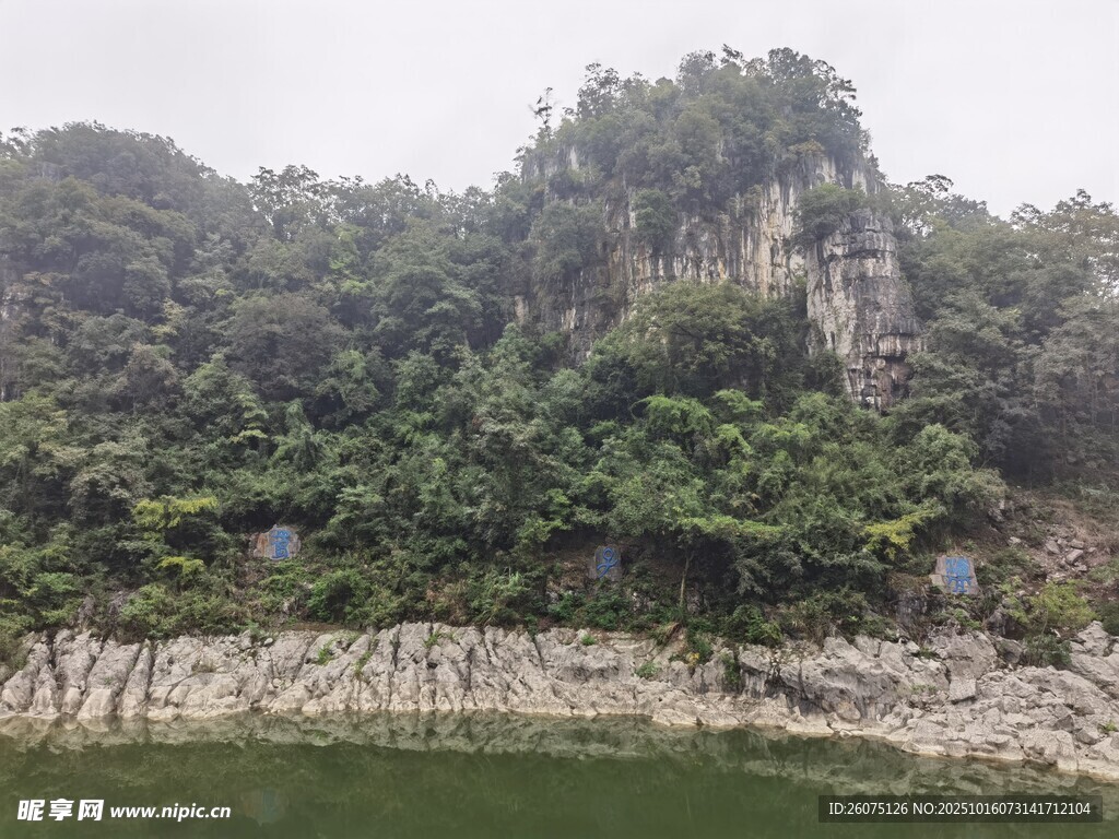 河畔葱郁山林景观