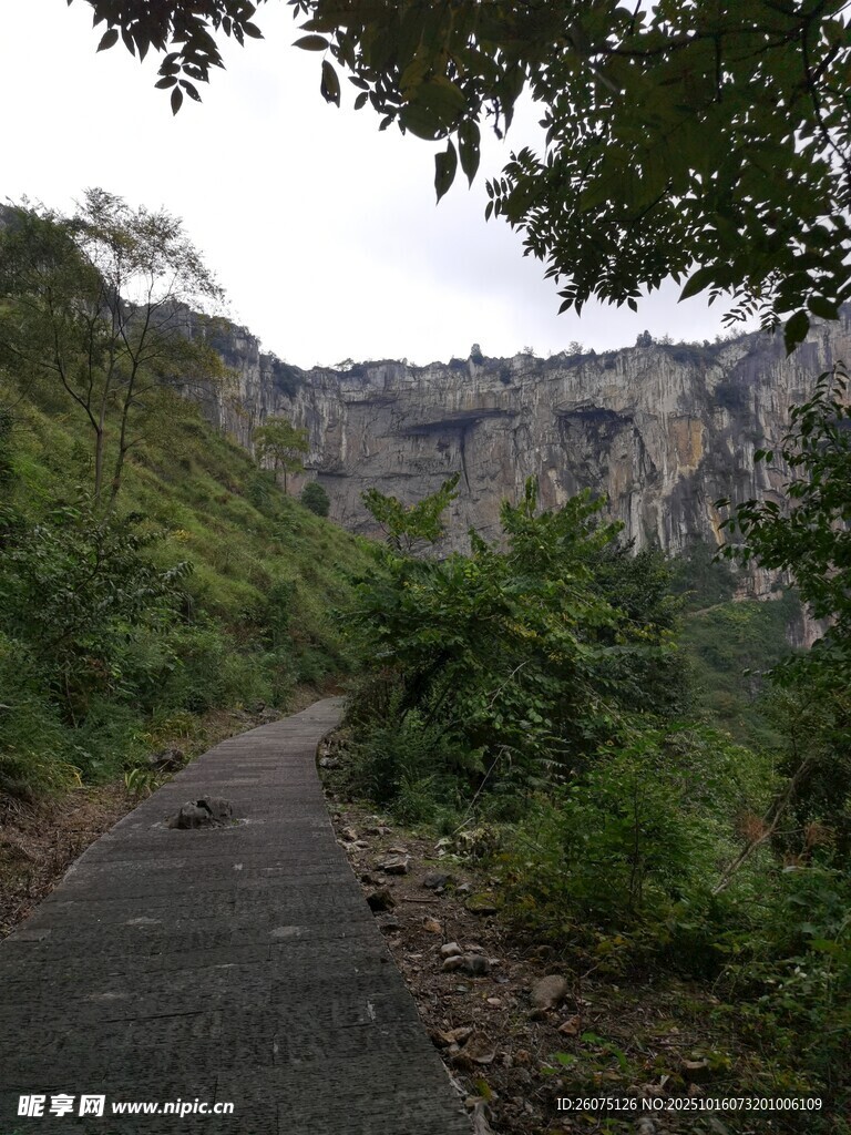 山间幽径绿意环绕的美景