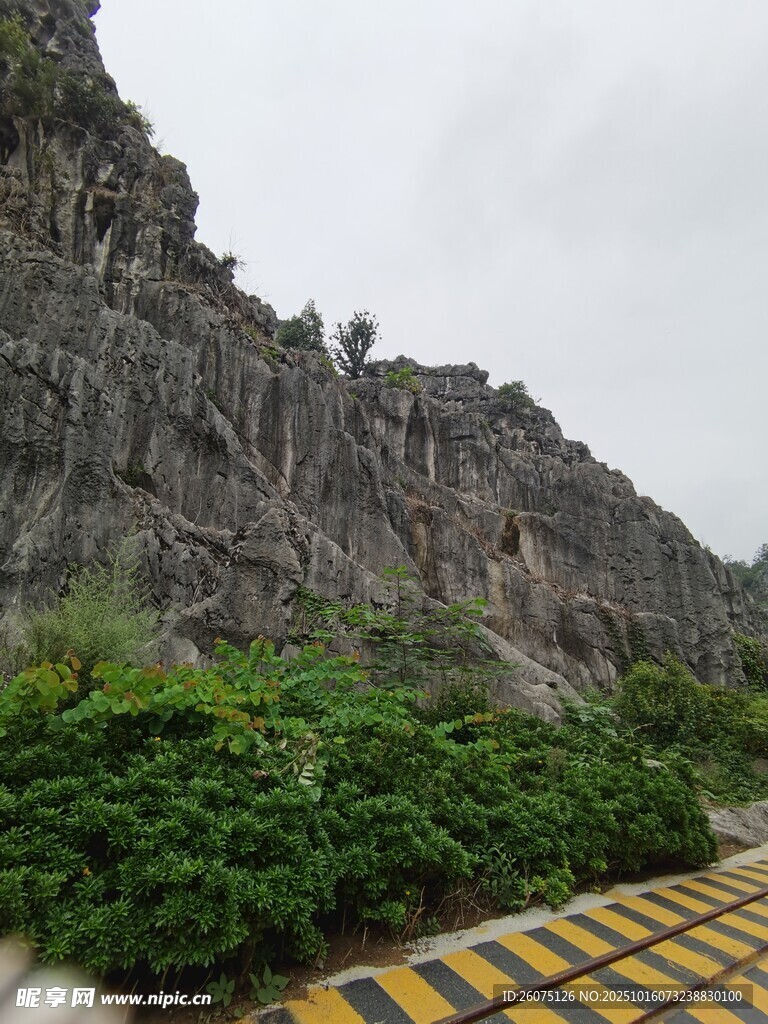 陡峭山壁旁的绿植景观