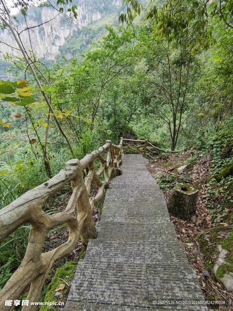 山间木栏小径清幽景致