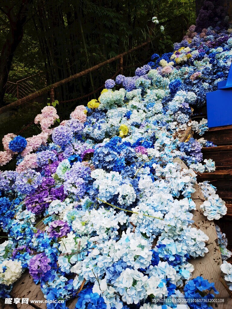 仿真缤纷绣球花海绚烂绽放