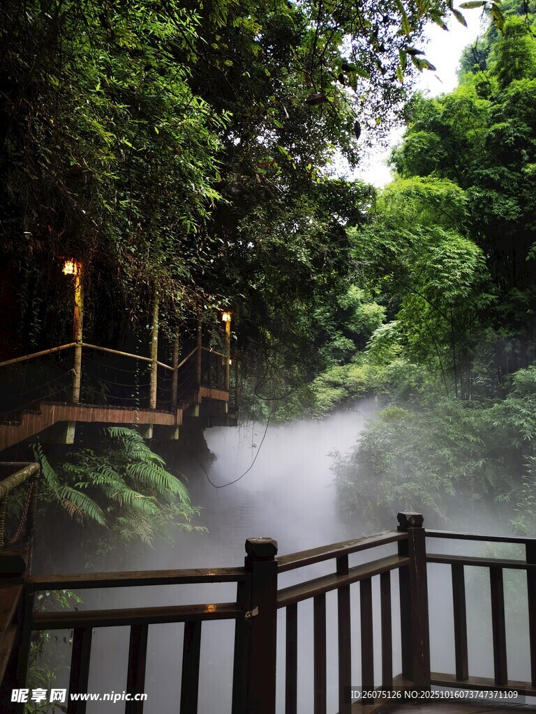 林间雾绕栈道清幽景致