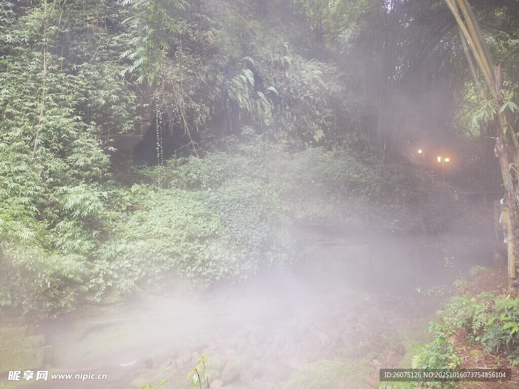 山林间的氤氲雾气景观