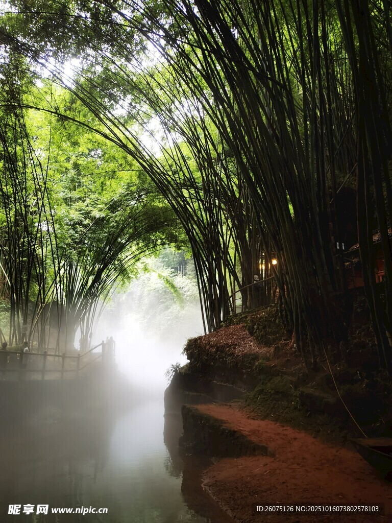 竹林迷雾中的静谧小径