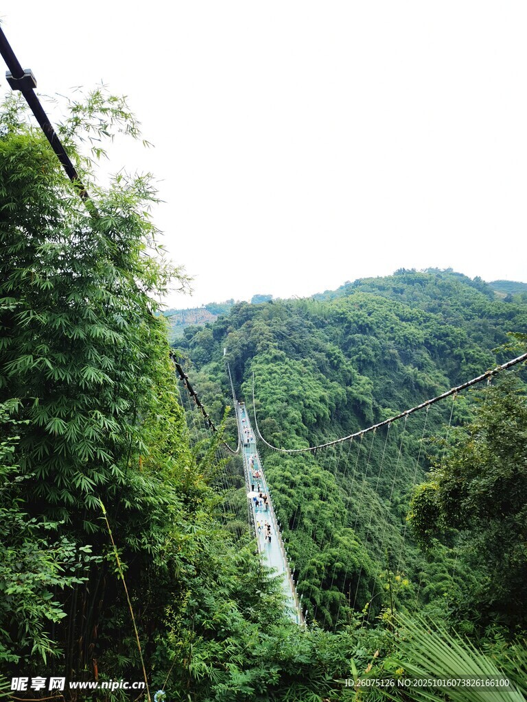 山间索道穿行于葱郁植被间