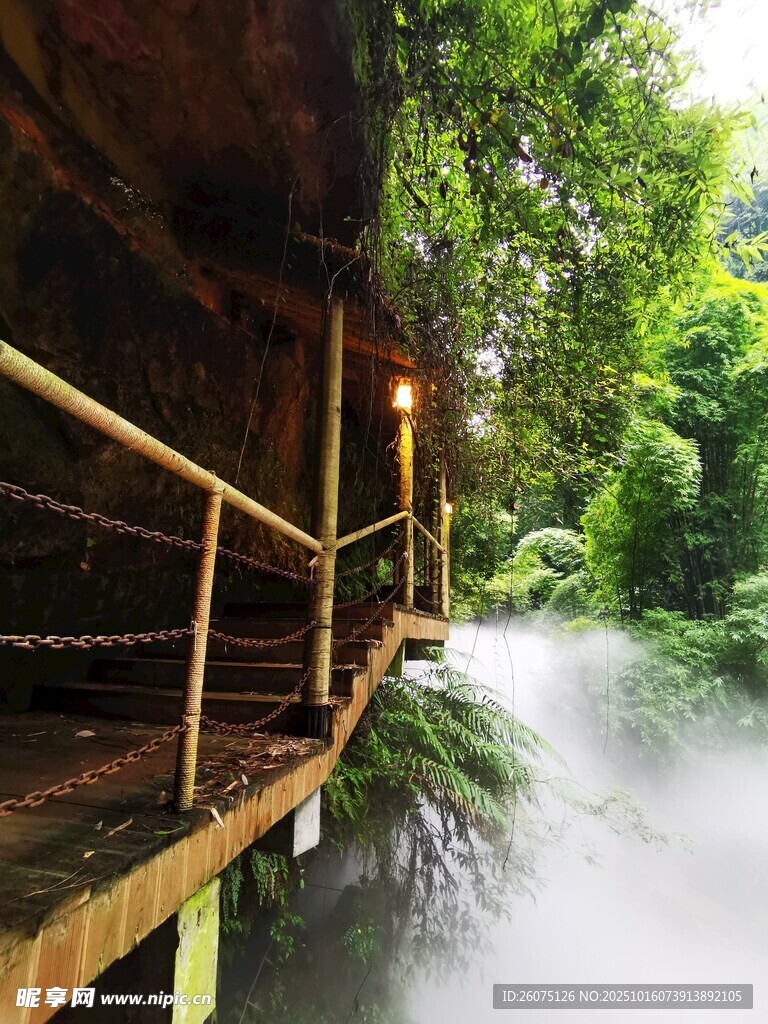 雨林中的木质栈道景观