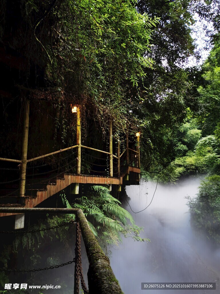 雨林中的梦幻木质悬空栈道