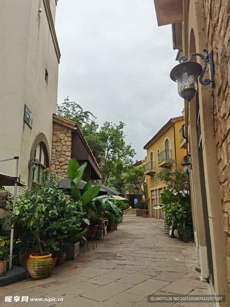 宁静小巷的绿植与建筑