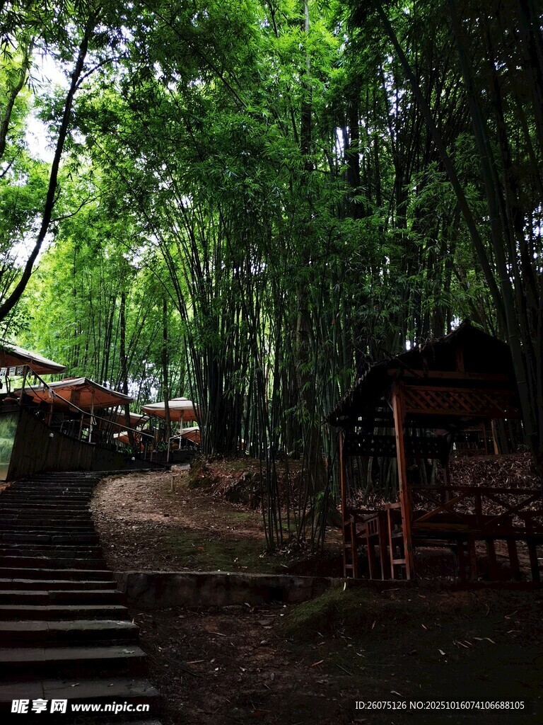 清幽竹林中的古朴小屋