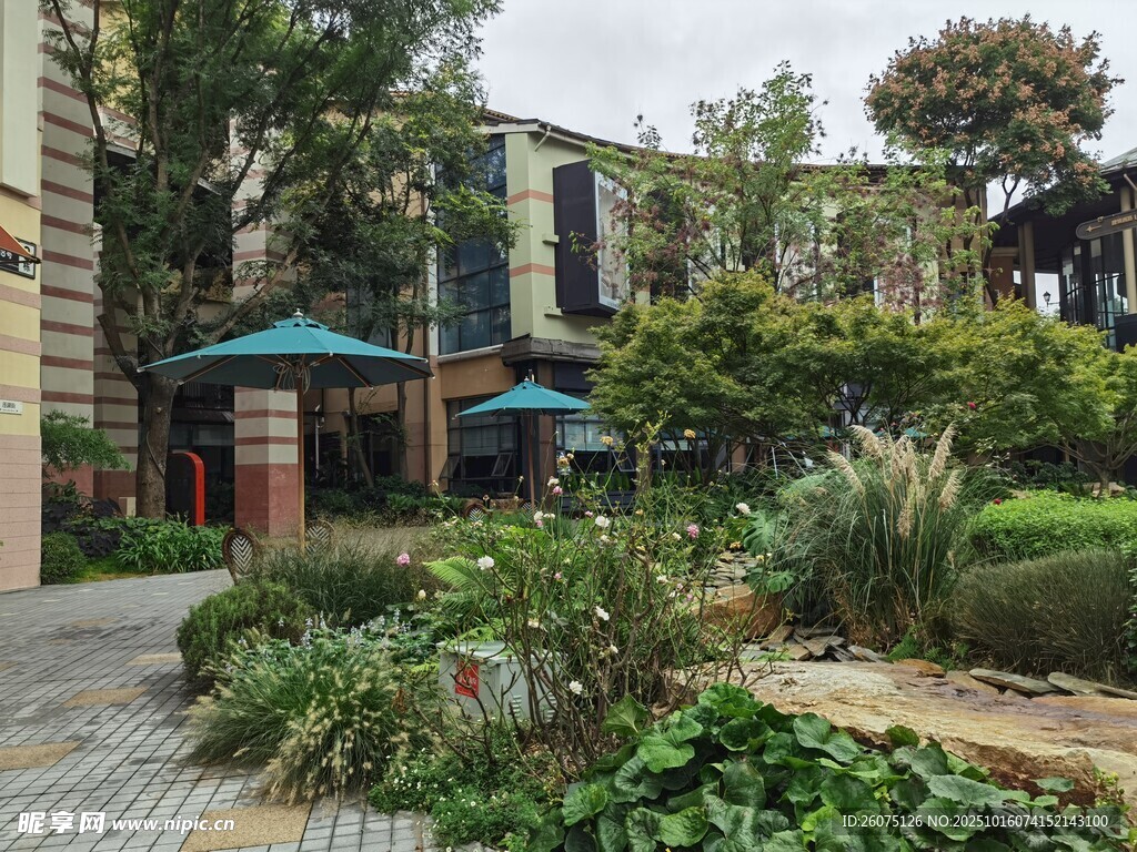 现代庭院景观绿植环绕