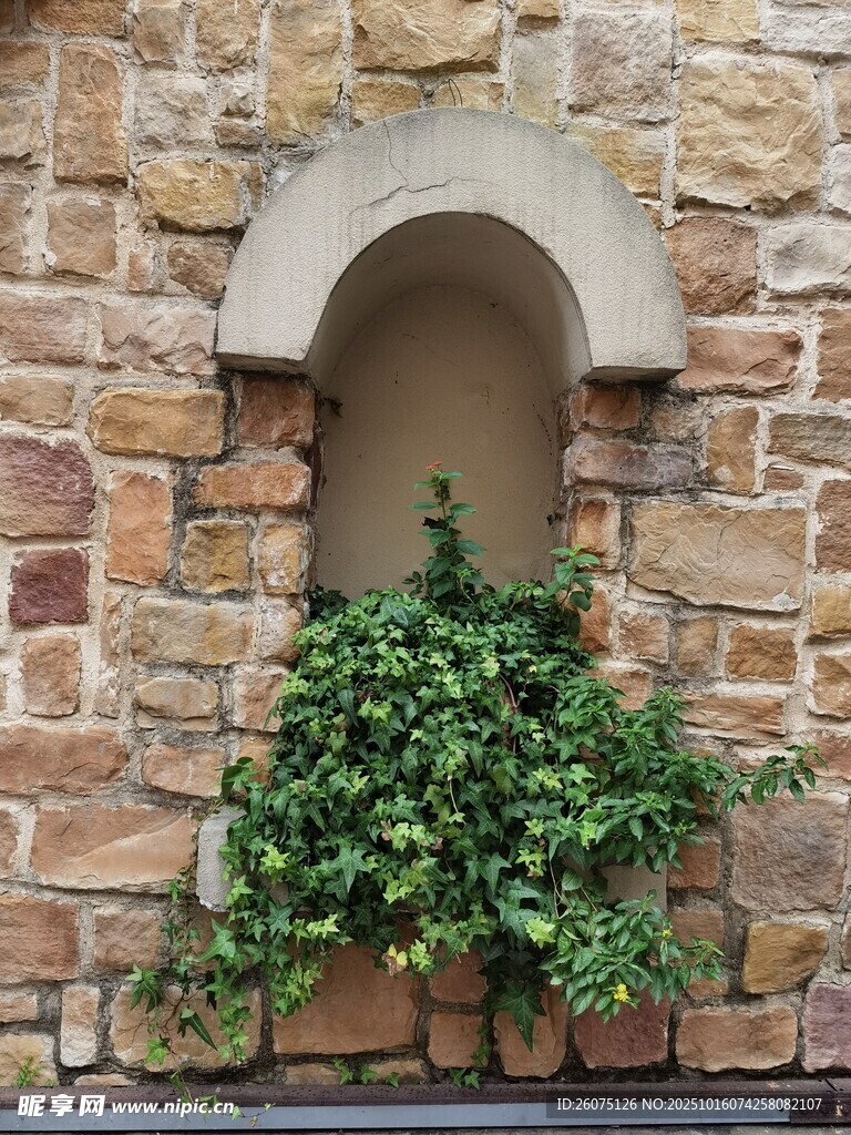 石墙花窗绿植景观