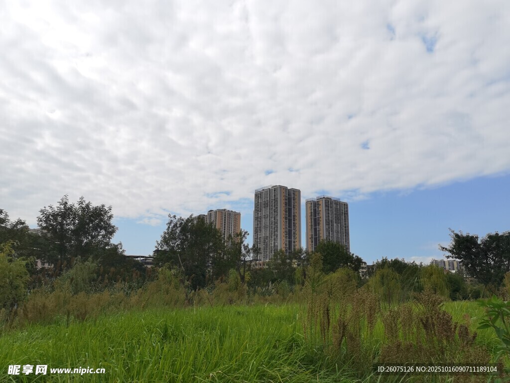 城市边缘的草地与高楼