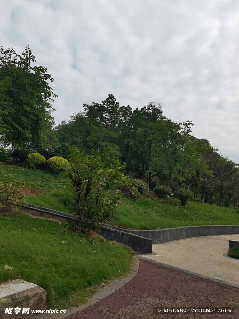 公园绿意景观