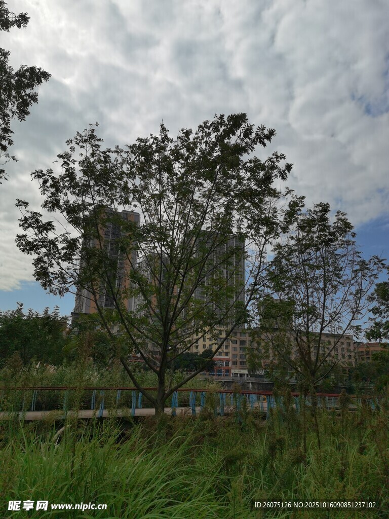 古老城堡旁的葱郁树木