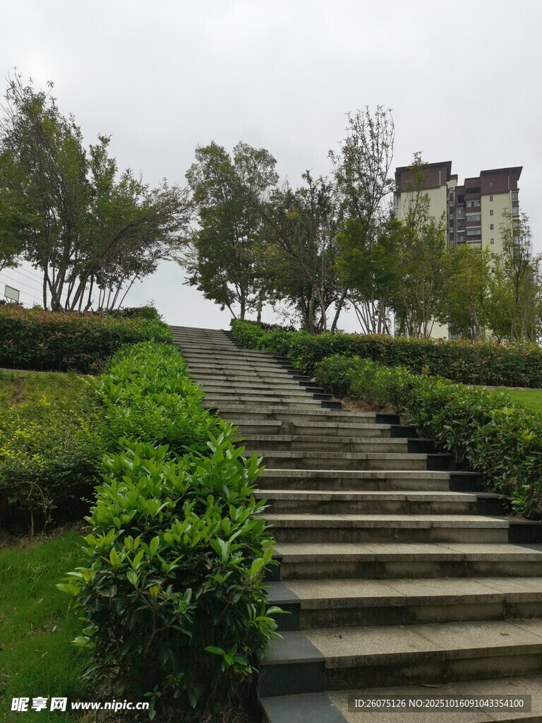 蜿蜒石阶旁绿植环绕景致