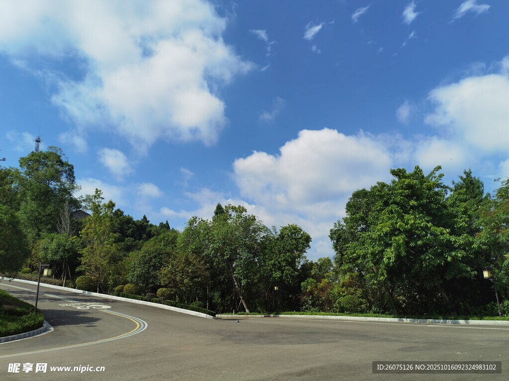 林间开阔道路蓝天白云相伴