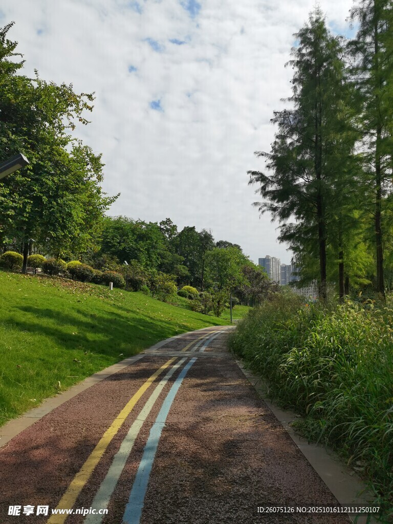 林间多彩骑行小路