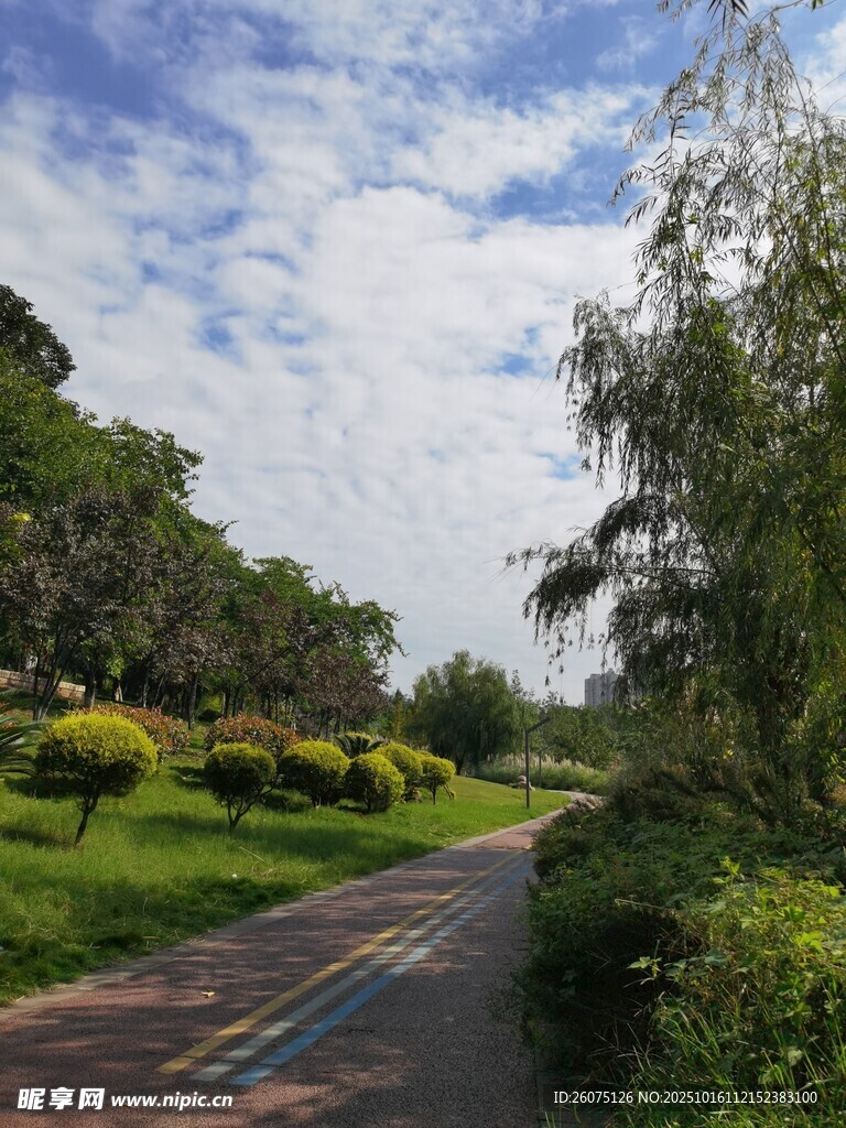 林间漫步道邂逅自然之美