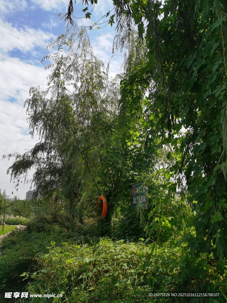 林间红衣人绿意盎然景