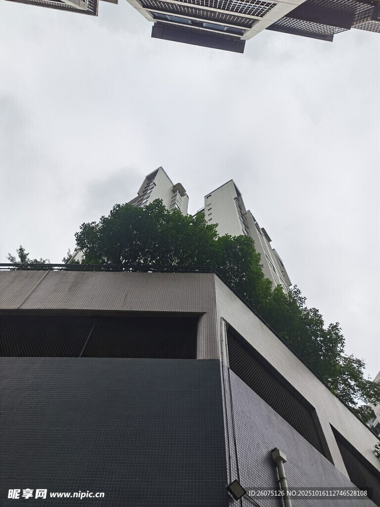 屋顶绿植装点现代建筑