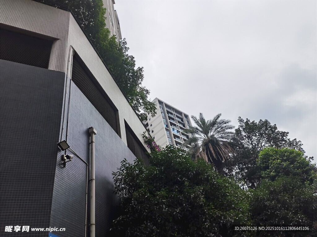 户外建筑旁绿植景观