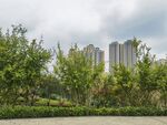 城市绿植与高楼景观