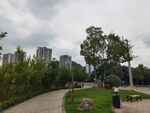 城市中的宁静公园小径