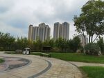 城市公园旁的高层住宅