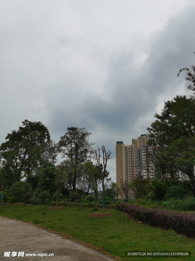 阴天的林间道路与建筑