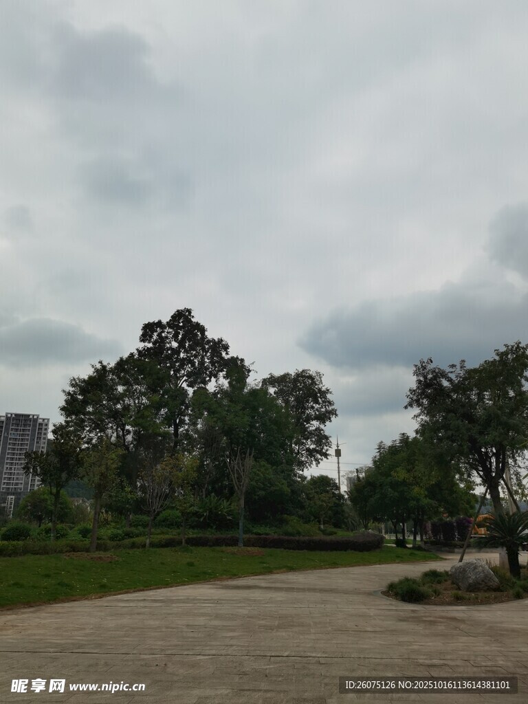 阴天公园景色