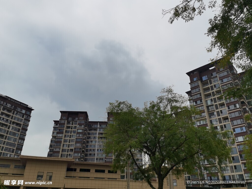 城市高楼与绿树景观
