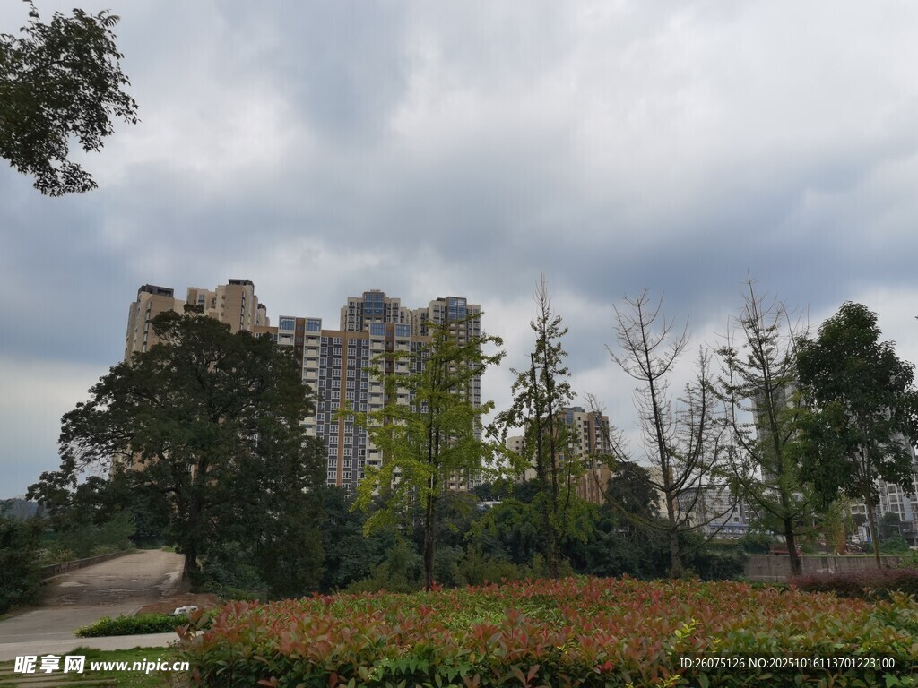 城市住宅区的绿植景观