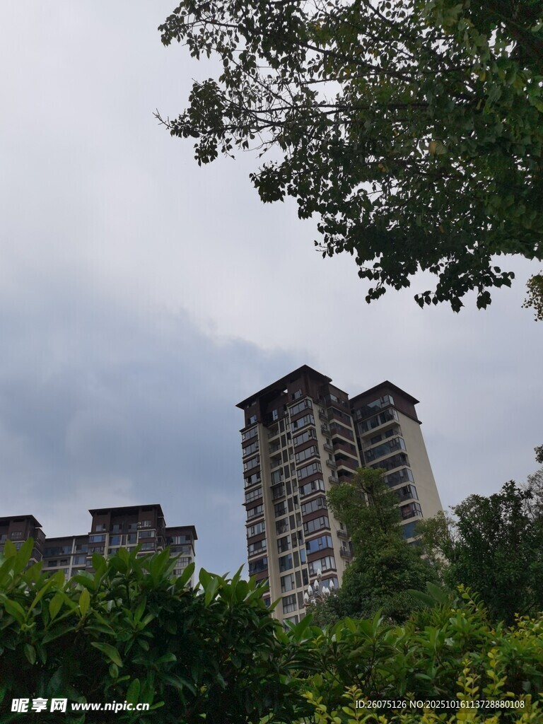 绿树环绕中的高层住宅