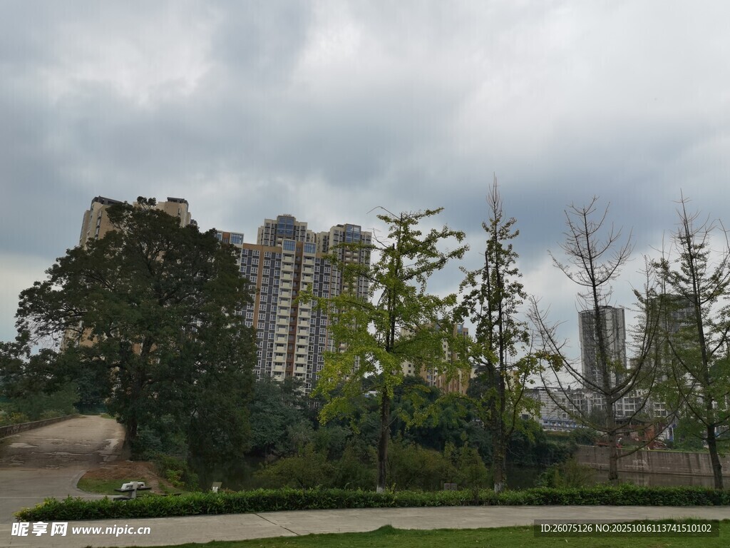 城市远景绿树映衬高楼