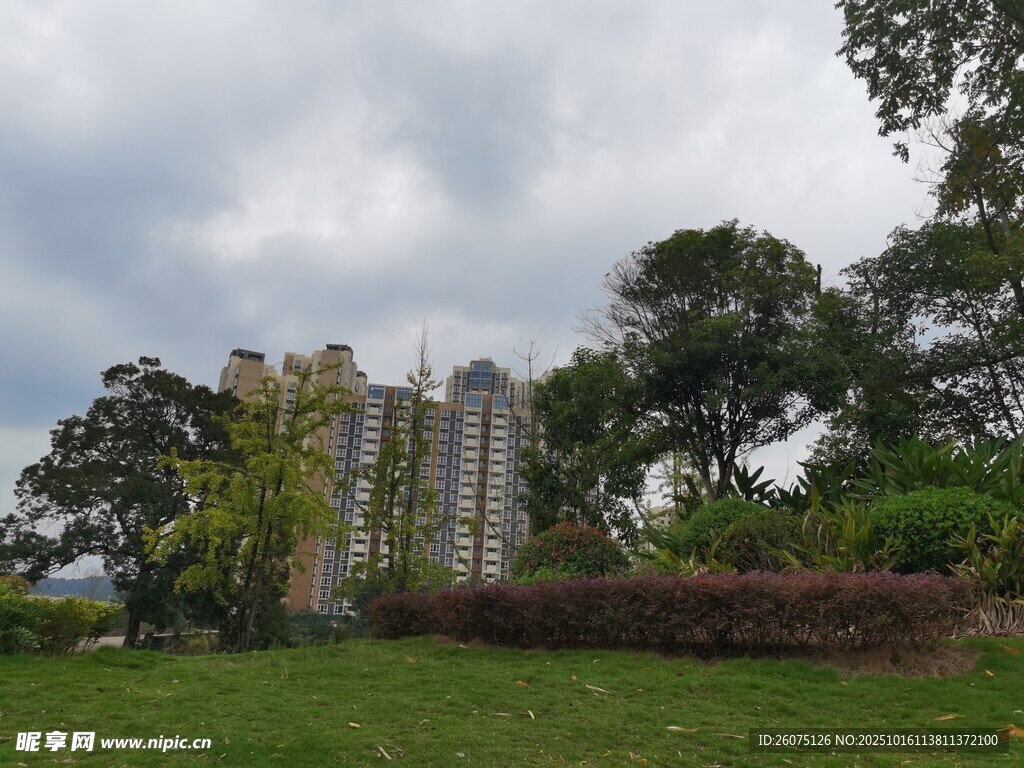 绿草环绕的高楼景观