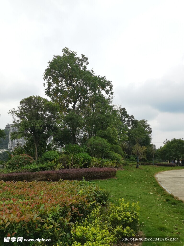 绿意盎然的园林景观