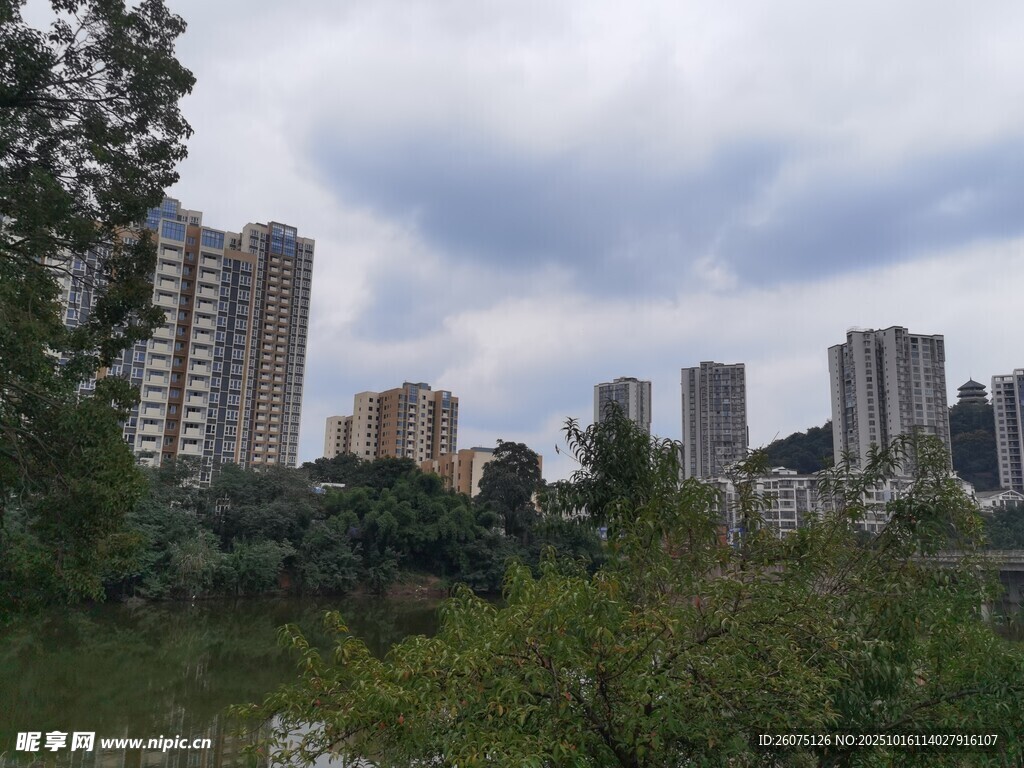 城市河畔高楼与绿植景观